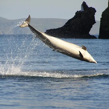 Skellig Dingle